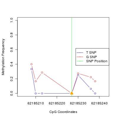 Allele Specific Methylation Frequency Diagram for chr20 62185227 SNP.