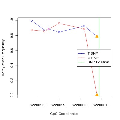 Allele Specific Methylation Frequency Diagram for chr20 62200609 SNP.
