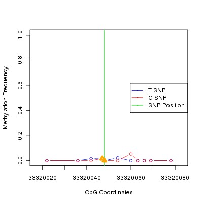 Allele Specific Methylation Frequency Diagram for chr21 33320048 SNP.