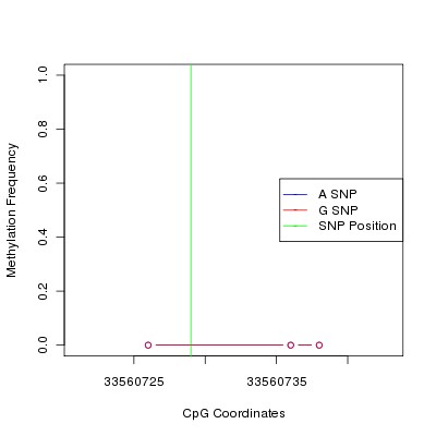 Allele Specific Methylation Frequency Diagram for chr21 33560729 SNP.