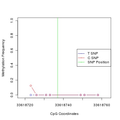 Allele Specific Methylation Frequency Diagram for chr21 33618737 SNP.