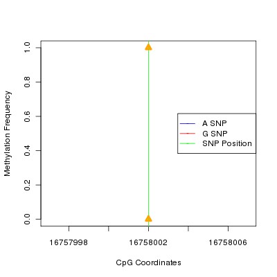 Allele Specific Methylation Frequency Diagram for chr22 16758002 SNP.