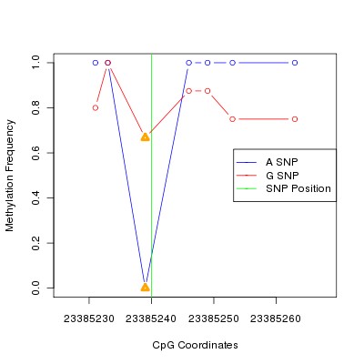 Allele Specific Methylation Frequency Diagram for chr22 23385240 SNP.