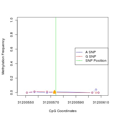 Allele Specific Methylation Frequency Diagram for chr22 31200574 SNP.