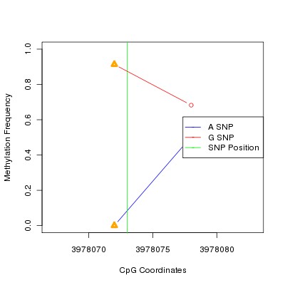 Allele Specific Methylation Frequency Diagram for chr4 3978073 SNP.