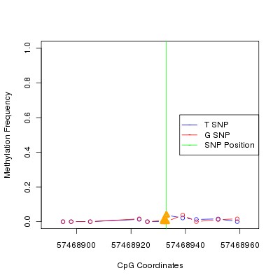 Allele Specific Methylation Frequency Diagram for chr4 57468933 SNP.