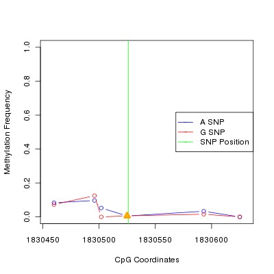 Allele Specific Methylation Frequency Diagram for chr11 1830526 SNP.