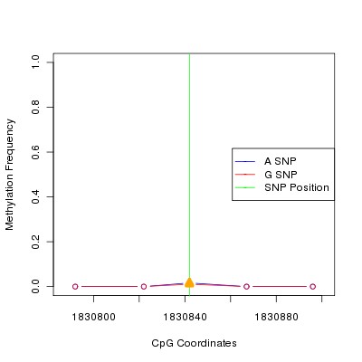 Allele Specific Methylation Frequency Diagram for chr11 1830842 SNP.