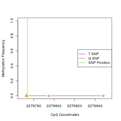 Allele Specific Methylation Frequency Diagram for chr11 2279774 SNP.