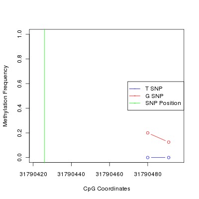 Allele Specific Methylation Frequency Diagram for chr11 31790426 SNP.