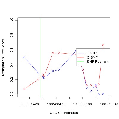 Allele Specific Methylation Frequency Diagram for chr12 100560436 SNP.