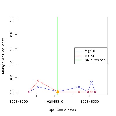 Allele Specific Methylation Frequency Diagram for chr12 102848312 SNP.