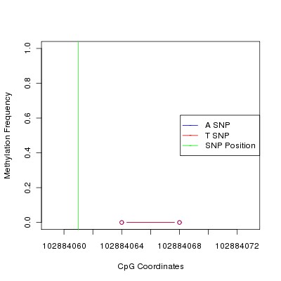 Allele Specific Methylation Frequency Diagram for chr12 102884061 SNP.