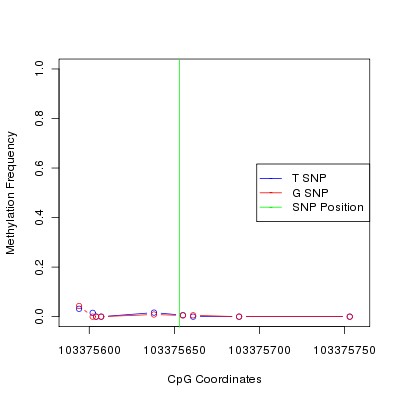 Allele Specific Methylation Frequency Diagram for chr12 103375653 SNP.