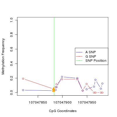 Allele Specific Methylation Frequency Diagram for chr12 107047883 SNP.