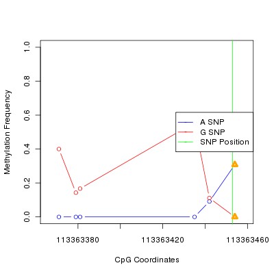 Allele Specific Methylation Frequency Diagram for chr12 113363453 SNP.