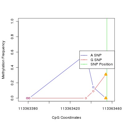 Allele Specific Methylation Frequency Diagram for chr12 113363455 SNP.