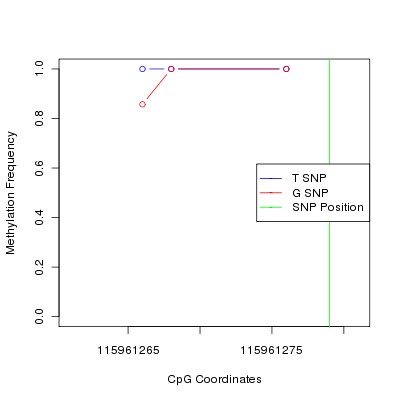 Allele Specific Methylation Frequency Diagram for chr12 115961279 SNP.