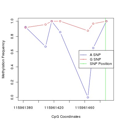 Allele Specific Methylation Frequency Diagram for chr12 115961487 SNP.