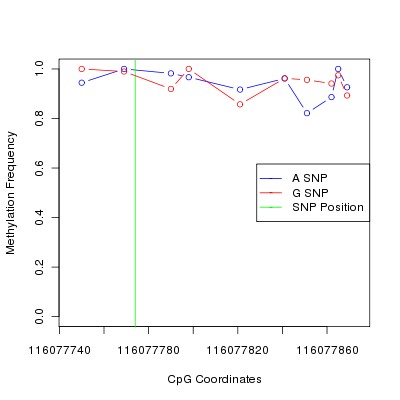 Allele Specific Methylation Frequency Diagram for chr12 116077774 SNP.