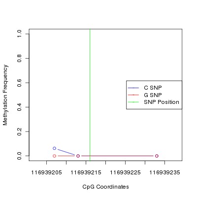 Allele Specific Methylation Frequency Diagram for chr12 116939216 SNP.