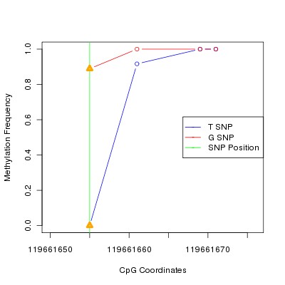 Allele Specific Methylation Frequency Diagram for chr12 119661655 SNP.