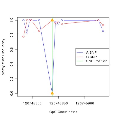 Allele Specific Methylation Frequency Diagram for chr12 120745839 SNP.