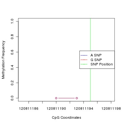 Allele Specific Methylation Frequency Diagram for chr12 120811195 SNP.