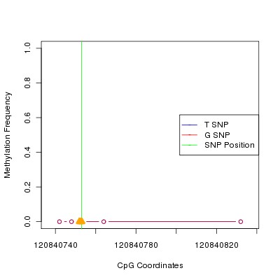 Allele Specific Methylation Frequency Diagram for chr12 120840753 SNP.