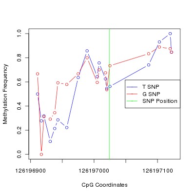 Allele Specific Methylation Frequency Diagram for chr12 126197024 SNP.