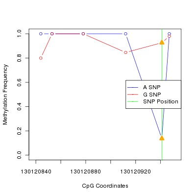 Allele Specific Methylation Frequency Diagram for chr12 130120941 SNP.