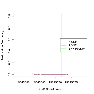 Allele Specific Methylation Frequency Diagram for chr12 13045372 SNP.