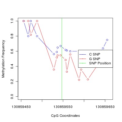 Allele Specific Methylation Frequency Diagram for chr12 130859547 SNP.