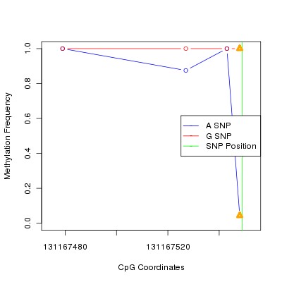 Allele Specific Methylation Frequency Diagram for chr12 131167549 SNP.