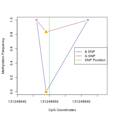 Allele Specific Methylation Frequency Diagram for chr12 131248655 SNP.