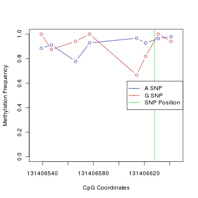 Allele Specific Methylation Frequency Diagram for chr12 131406628 SNP.