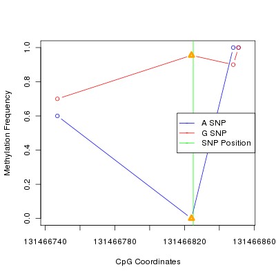 Allele Specific Methylation Frequency Diagram for chr12 131466825 SNP.