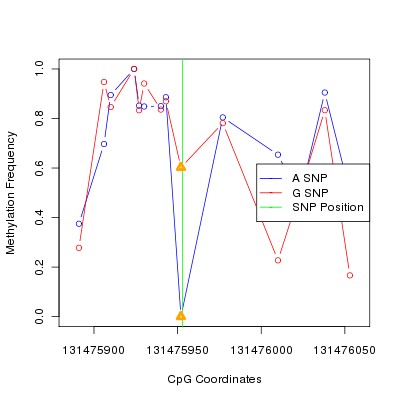 Allele Specific Methylation Frequency Diagram for chr12 131475953 SNP.