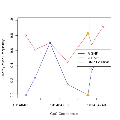 Allele Specific Methylation Frequency Diagram for chr12 131484732 SNP.