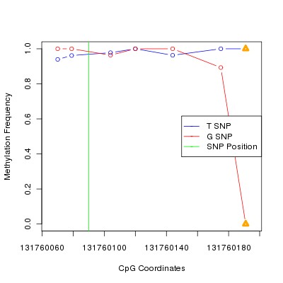 Allele Specific Methylation Frequency Diagram for chr12 131760090 SNP.