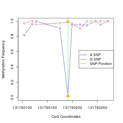 Allele Specific Methylation Frequency Diagram for chr12 131760191 SNP.