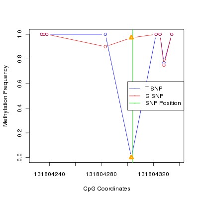 Allele Specific Methylation Frequency Diagram for chr12 131804304 SNP.