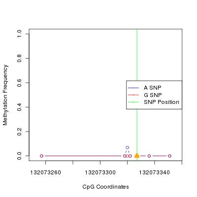 Allele Specific Methylation Frequency Diagram for chr12 132073327 SNP.