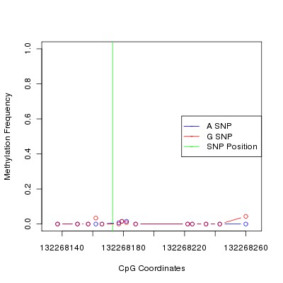 Allele Specific Methylation Frequency Diagram for chr12 132268173 SNP.