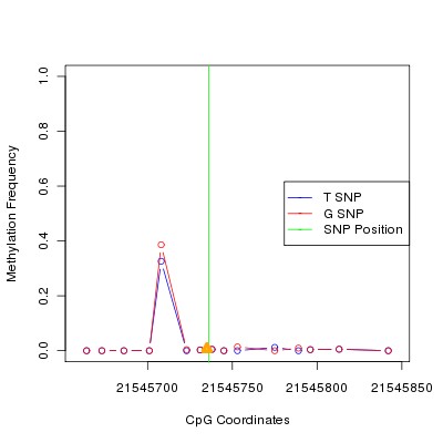 Allele Specific Methylation Frequency Diagram for chr12 21545736 SNP.