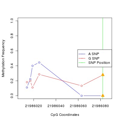 Allele Specific Methylation Frequency Diagram for chr12 21986082 SNP.