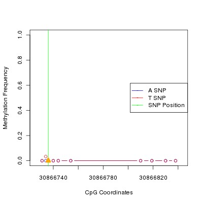 Allele Specific Methylation Frequency Diagram for chr12 30866736 SNP.