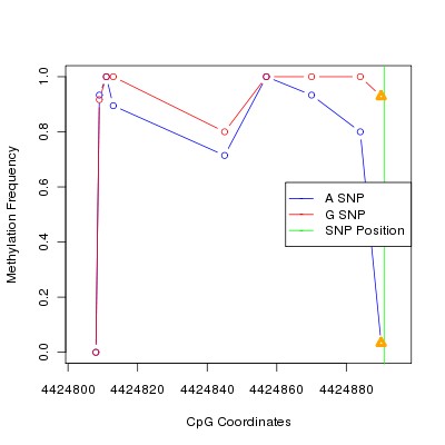 Allele Specific Methylation Frequency Diagram for chr12 4424891 SNP.