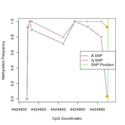 Allele Specific Methylation Frequency Diagram for chr12 4424891 SNP.