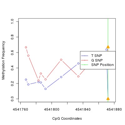 Allele Specific Methylation Frequency Diagram for chr12 4541872 SNP.